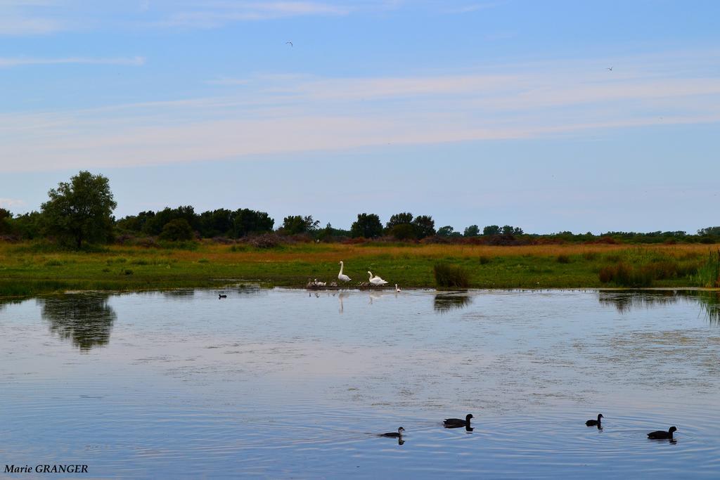 Gite Les Vents Du Large L'Aigrette Le Crotoy Exteriör bild